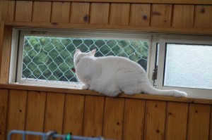 DSC00366