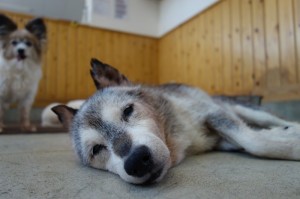 DSC00505