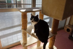 DSC01237