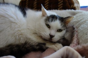 DSC01508