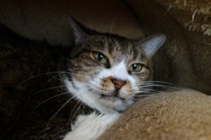 DSC01509
