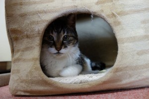 DSC01601