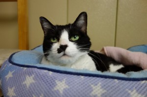 DSC01605