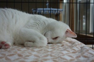 DSC01620