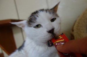 DSC01736