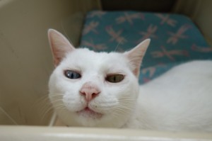DSC01741