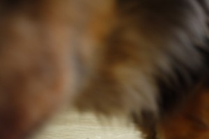 DSC01773