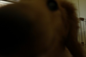 DSC01877