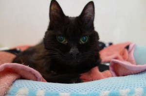 DSC01907