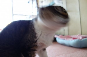 DSC02357