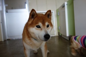 DSC02400
