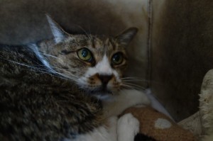 DSC02448