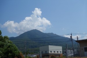 DSC03537