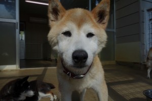 DSC03907