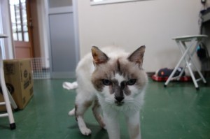 DSC04029