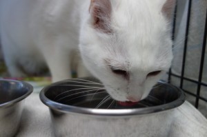 DSC04091