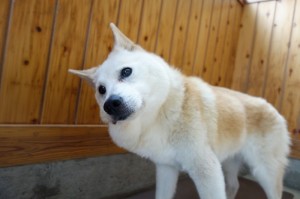 DSC04280