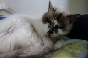 DSC04358