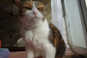 DSC04400