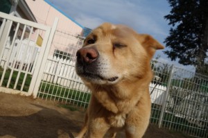 DSC04810