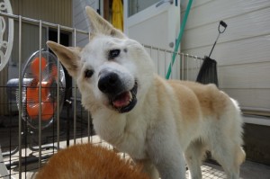 DSC04842