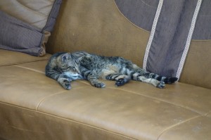 DSC05035