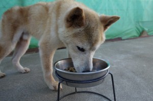 DSC05299