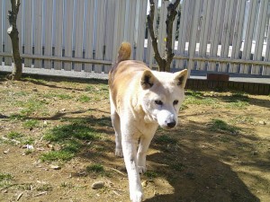 DSCF0377