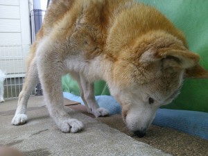 DSCF0478