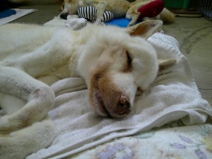 DSCF0709