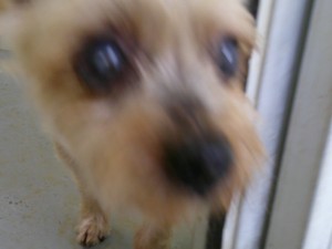 DSCF0733