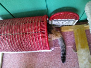 DSCF0739